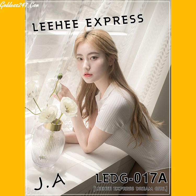 LEEHEE EXPRESS LEDG 017AB J.A 099