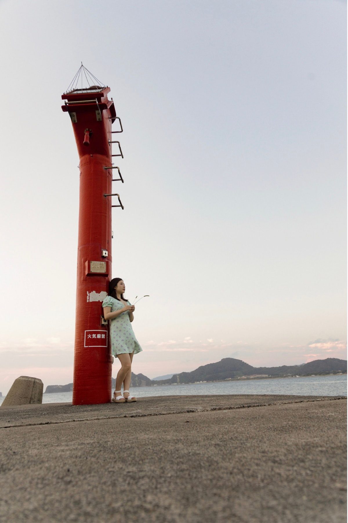 太陽とひまわり Ena Satsuki 沙月恵奈 ヌード写真集 B 0038 0532935484.jpg